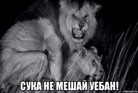  сука не мешай уебан!