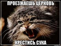 проезжаешь церковь крестись сука