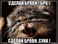 сделай брови ! бро ! сделай брови, сука !