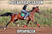 рысак под седлом прекрасен