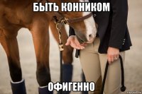быть конником офигенно