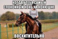 когда у тебя самый спокойный конь на конюшне восхитительно