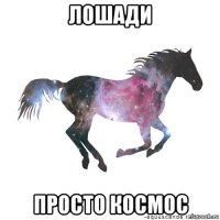 лошади просто космос