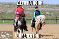 дети на пони прелестны