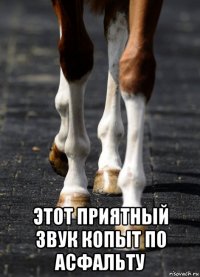  этот приятный звук копыт по асфальту