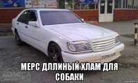  мерс дллиный хлам для собаки