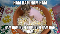 нам нам нам нам нам нам нэм ням нэм нам нам нам