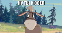 ну ты и осел 