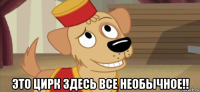  это цирк здесь все необычное!!