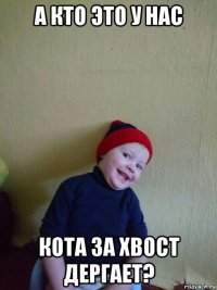 а кто это у нас кота за хвост дергает?