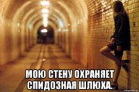  мою стену охраняет спидозная шлюха.