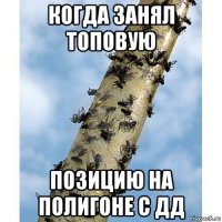 когда занял топовую позицию на полигоне с дд