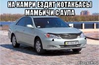 на камри ездят котакбасы мамбичи с аула 