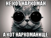 не кот наркоман а кот наркоманище