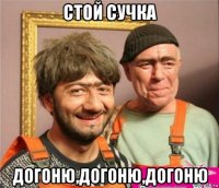 стой сучка догоню,догоню,догоню