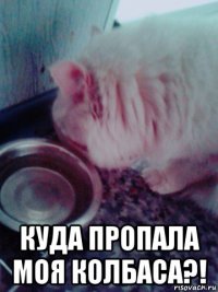  куда пропала моя колбаса?!