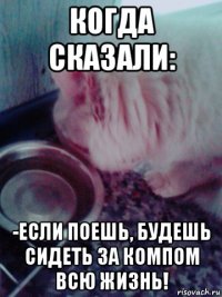 когда сказали: -если поешь, будешь сидеть за компом всю жизнь!