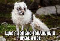  щас я только тональный крем, и все