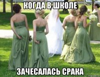 когда в школе зачесалась срака