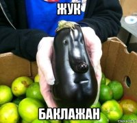 жук баклажан