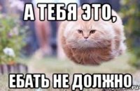 а тебя это, ебать не должно