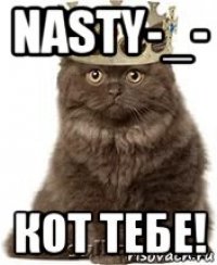 nasty-_- кот тебе!