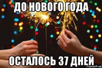 до нового года осталось 37 дней