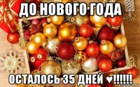 до нового года осталось 35 дней ♥!!!!!!