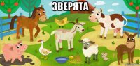 зверята 