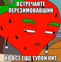 встречайте перезимовавший но все еще тупой кит