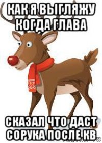 как я выгляжу когда глава сказал что даст сорука после кв