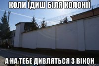 коли їдиш біля колонії а на тебе дивляться з вікон