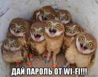 дай пароль от wi-fi!!!