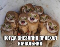  когда внезапно приехал начальник