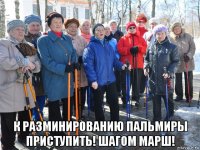  к разминированию пальмиры приступить! шагом марш!