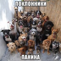 поклонники панина