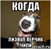 когда лизнул перчик чили