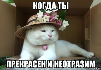 когда ты прекрасен и неотразим