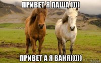 привет я паша )))) привет а я ваня)))))