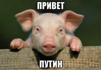 привет путин