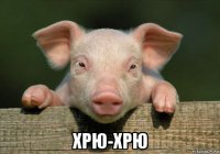  хрю-хрю