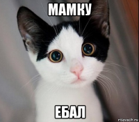 мамку ебал