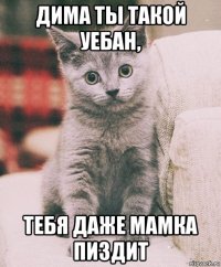 дима ты такой уебан, тебя даже мамка пиздит
