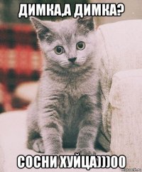 димка,а димка? сосни хуйца)))00