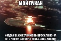 мой пукан когда свежий хавчик выбросили из-за того что он завонял весь холодильник