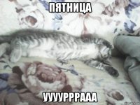 пятница уууурррааа