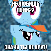 не любишь пони?? значи ты не крут!