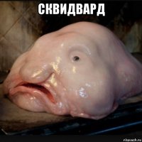 сквидвард 