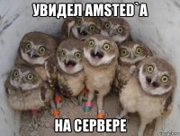 увидел amsted`а на сервере