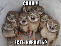саня!!! есть курнуть?